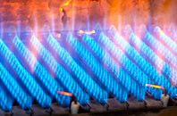 Elgin gas fired boilers