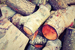 Elgin wood burning boiler costs